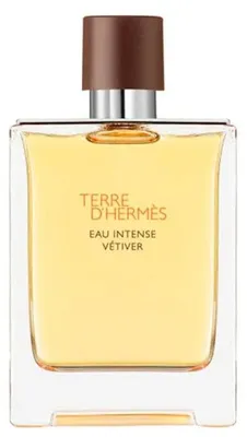 Image de Hermès Terre d'Hermés Eau Intense Vétiver Eau de Parfum Vaporisateur 50 ml