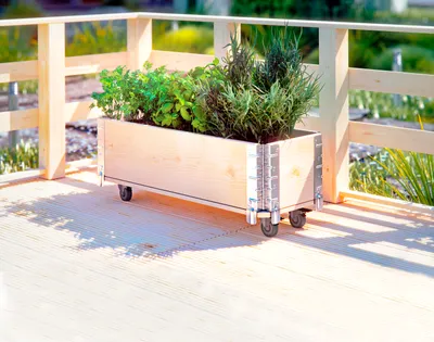 Produktbild von Holz Kräuterbox Kräuterbeet Kräutergarten Pflanzkasten Blumenkasten 4 Rollen