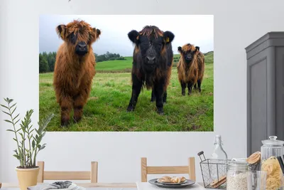 Produktbild von MuchoWow® - Selbstklebend - Fototapeten
