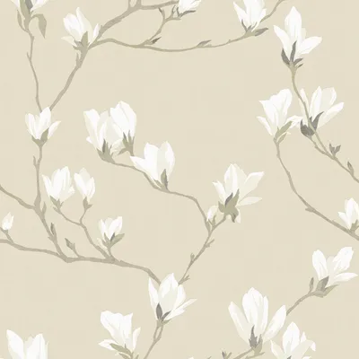 Produktbild von Vliestapete 113353 Laura Ashley Magnolia Grove Beige