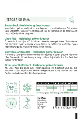 Produktbild von Grünkohl Halbhoher Grüner Krauser | Grünkohlsamen von Hortitops