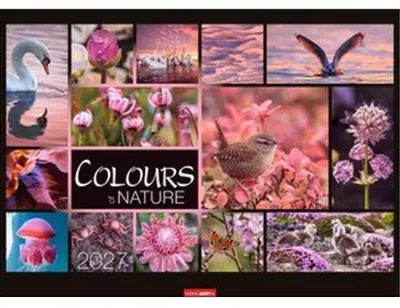 Obrázek produktu pro Kalendář Colours of Nature 2027