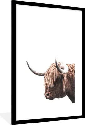 Produktbild von MuchoWow® MuchoWow® Gerahmtes Poster Schottisches Hochlandrind - Tiere - Weiß 60x90 cm - Poster mit zchwarzem Bilderrahmen - Dekoration - Wandposter Wohnzimmer - Hochwertig