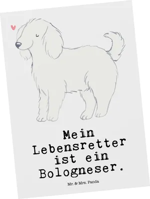 Produktbild von Mr. & Mrs. Panda Postkarte Bologneser Lebensretter - Weiß - Geschenk, Fotokarte, bildkarte, Postkarten, Ansichtskarten, Grußkarte