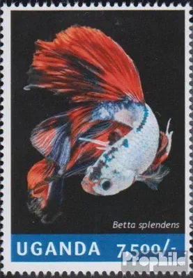 Produktbild von Briefmarken Uganda 2014 Mi 3279 (kompl.Ausg.) postfrisch Kampffisch