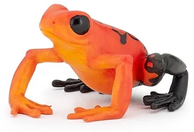Produktbild von Papo Roter Äquatorial Frosch, 100 g