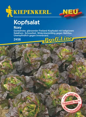 Produktbild von Kopfsalat Roxy rot | Kopfsalatsamen von Kiepenkerl