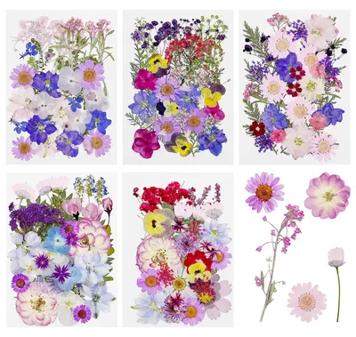 170 gepresste Trockenblumen, schwarz-weiß, für Harz & Basteln