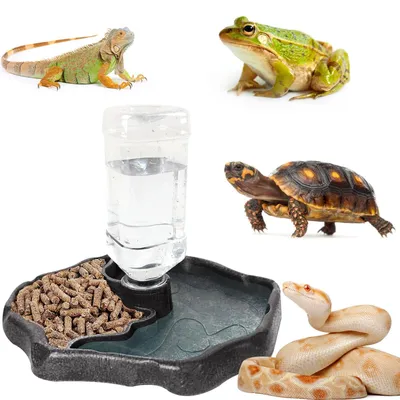 Produktbild von Futterstation für Reptilien mit automatischer Wasserauffrischung
