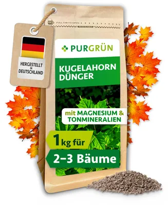Produktbild von Purgrün Kugelahorn-Dünger 1 kg
