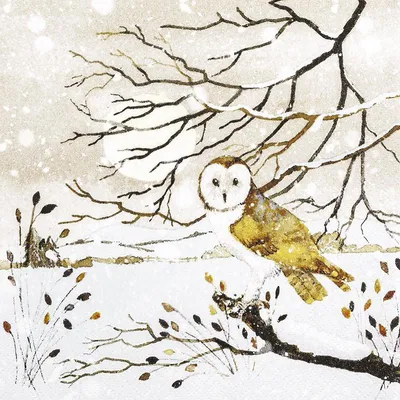 Produktbild von 20 Servietten Hedwig - Eule auf Winterast 33x33cm