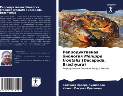 Produktbild von Reproduktiwnaq biologiq Menippe frontalis (Decapoda, Brachyura)