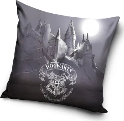 Zdjęcie produktu dla Poszewka na poduszkę Harry Potter Bradavické Tajemství