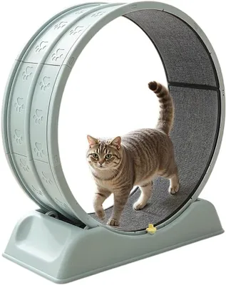 Produktbild von Katzen Laufrad 80cm, leises Laufgerät für Katze, Katzenlaufrad mit Sicherheitsverschluss & Teppich, Indoor Katzen Laufband Training Rad mit Spielzeug, für alle Katzen Größen bis 10kg (Blau)