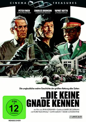 Produktbild von Die keine Gnade kennen
