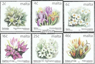 Produktbild von Briefmarken Malta 1999 Mi 1099I A-1104I A (kompl.Ausg.) postfrisch Flora