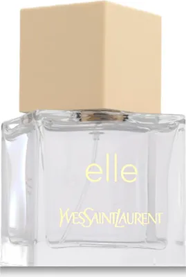 A close-up studio shot of a perfume bottle.