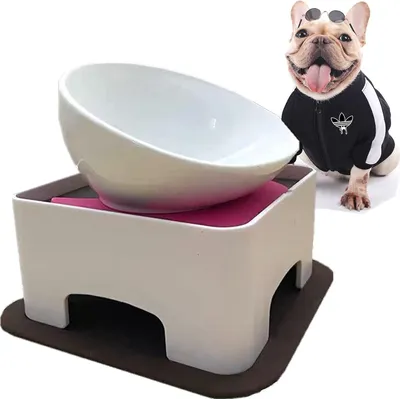 Produktbild von Rutschfeste Hund Katze Schüssel abnehmbare Hundenapf - steriler Haustierfutterspender mit Neigung (weiß/keramisch)