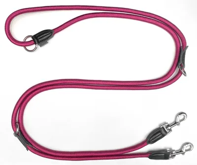 Produktbild von Leisegrün Hundeleinen für große hunde, verstellbar mit 2 Karabiner, 3 Meter,