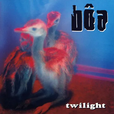Produktbild von bôa: Twilight - - (CD / T)