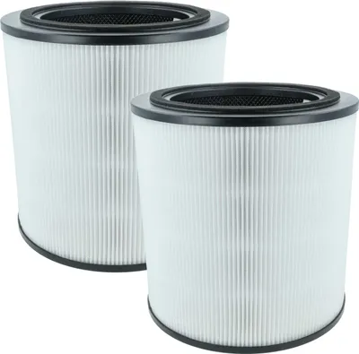 Produktbild von vhbw 2x Aktivkohlefilter kompatibel mit Bosch Air 4000 Luftreiniger - H13 Luftfilter Schwarz Weiß