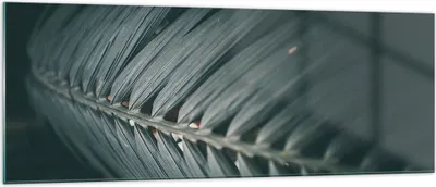 Produktbild von Bilder auf glas - Einteilig - Blatt Palme exotisch - 140x50cm - Glasbilder - Wandbilder - Bilder - zum Aufhängen bereit - Wanddekoration aus Glas - Glas Bilder - Wandbild auf Glas - GAB140x50-4907