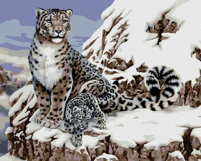 Produktbild von Zuty - Malen nach Zahlen - SCHNEELEOPARD MIT JUNGTIER (HOWARD ROBINSON), 40x50 cm, mit Keilrahmen (bereits gespannt)