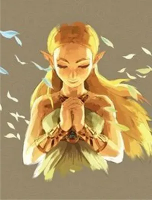 Produktbild von Legend of Zelda : Breath of the Wild CE - off Buch