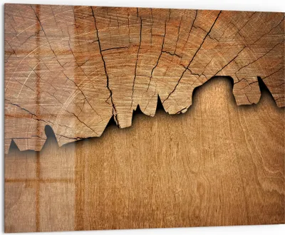 Produktbild von DEQORI Küchenrückwand Glas 80x60 cm 'Baumzeitzeugen' Spritzschutz Bad Rückwand Küche