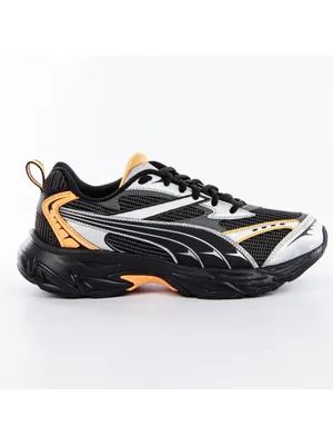 Image de Puma morphique