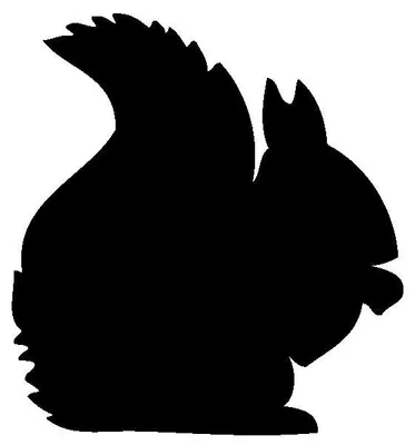 Produktbild von Kreidetafel-Aufkleber – abwischbare Wandaufkleber – Eichhörnchen – 25 x 25 cm
