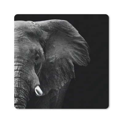 Produktbild von MuchoWow® Mauspad Mousepad Tiere - Elefant - Wild - Schwarz - Weiß 30x30 cm - Mousepads - Maus Mat - Pad - Mausunterlage - Gaming