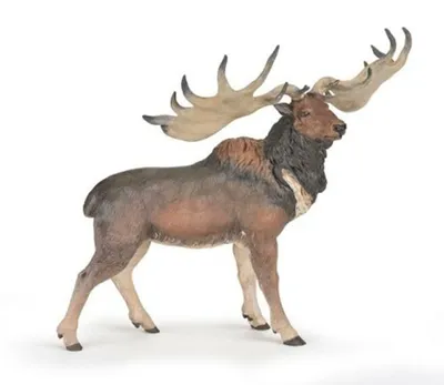 Produktbild von Papo Deutschland GmbH Papo 55080 Megaloceros 1