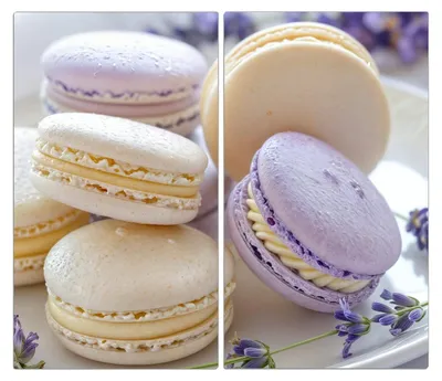 Produktbild von Spritzschutz Herdabdeckplatte Schneidebrett aus Glas Lavendel Macarons 2-Teilig (60x52cm)