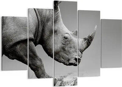 Produktbild von Bild auf Leinwand - Leinwandbild - 5 Teile - Nashorn Monochrom Tier - 150x100cm - Wand Bild - Wanddeko - Wandbilder - Leinwanddruck - Bilder - Wanddekoration - Leinwand bilder - EA150x100-4954