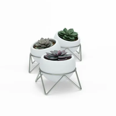 Obrázok produktu pre Umbra Držiak na rastliny Umbra Potsy - 14x14x12cm - 3 kusy - keramický biely/niklový