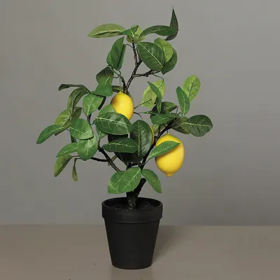 Produktbild von künstlicher Zitronenbaum H. 48cm in schwarzem Kunststofftopf DPI WA