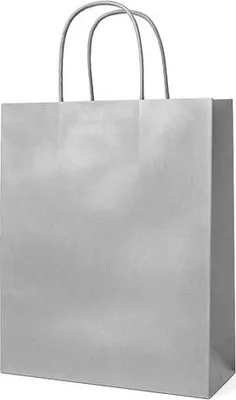 Zdjęcie produktu dla Torba 180x80x225 / SILVER