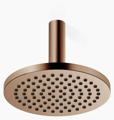 Produktbild von Dornbracht Regenbrause mit Deckenanbindung, Ø 220mm, 28669970-42