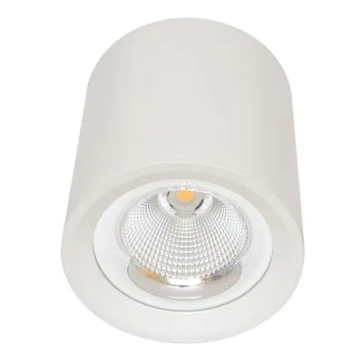 Obrázek produktu pro Ecolite Bílé nástěnné svítidlo kulaté 30W MZ-DL-30W/BI