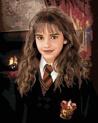 Obrázok produktu pre Zuty - Maľovanie podľa čísel - HERMIONA PORTRÉT (HARRY POTTER), 40x50 cm, vypnuté plátno na rám