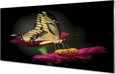Produktbild von Glasbilder 140x70 Wandkunst Schmetterling auf einer Blume