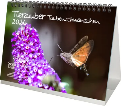 Produktbild von Tierzauber Taubenschwänzchen DIN A5 Tischkalender für 2026 - Seelenzauber