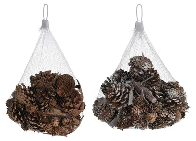 Image de Pommes de pin avec écorce d'arbre