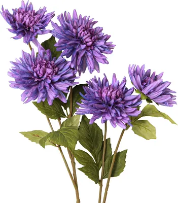 Produktbild von Dahlien Kunstblume Lavendel 5 Blüten 105cm Raumdeko