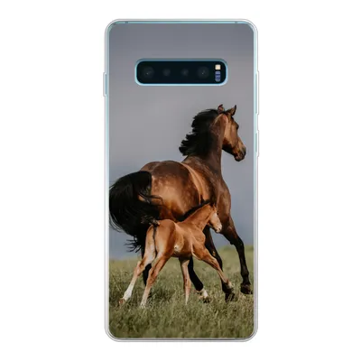 Produktbild von MuchoWow® Handyhülle Schutzhülle Hülle für Samsung Galaxy S10 Plus Tiere - Pferde - Fohlen Silikon Softcase Handy Hülle - Schutzhülle