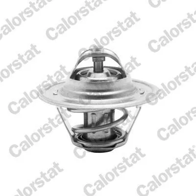 Produktbild von CALORSTAT by Vernet Thermostat, Kühlmittel x