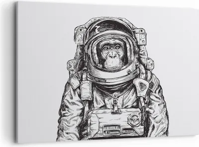 Produktbild von Bild auf Leinwand - Leinwandbild - Einteilig - Schimpanse Astronaut Zeichnung - 100x70cm - Wand Bild - Wanddeko - Wandbilder - Leinwanddruck - Bilder - Wanddekoration - Leinwand bilder - AA100x70-4312