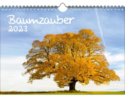 Wandkalender 2023 DIN A4 Bäume und Wald – 12 Monate