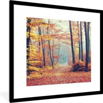 Produktbild von MuchoWow® Gerahmtes Poster Wald - Herbst - Laub 40x40 cm - Poster mit Schwarzem Bilderrahmen Wandposter Rahmen Foto Bilder - Poster - Plakat im Rahmen